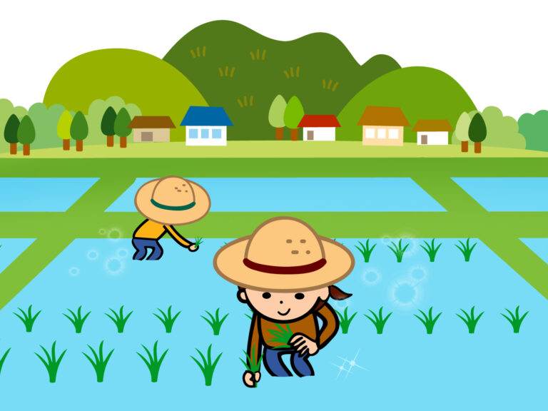 田植え