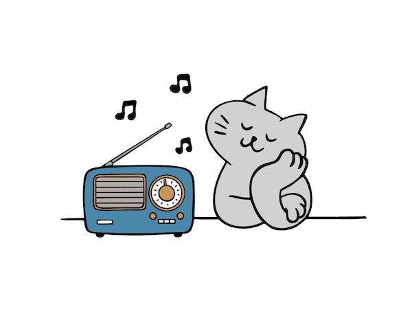ラジオを聴く猫